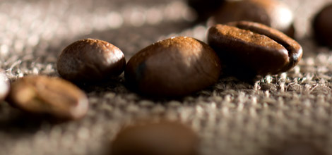 Hay m&aacute;s de 50 especies de caf&eacute;